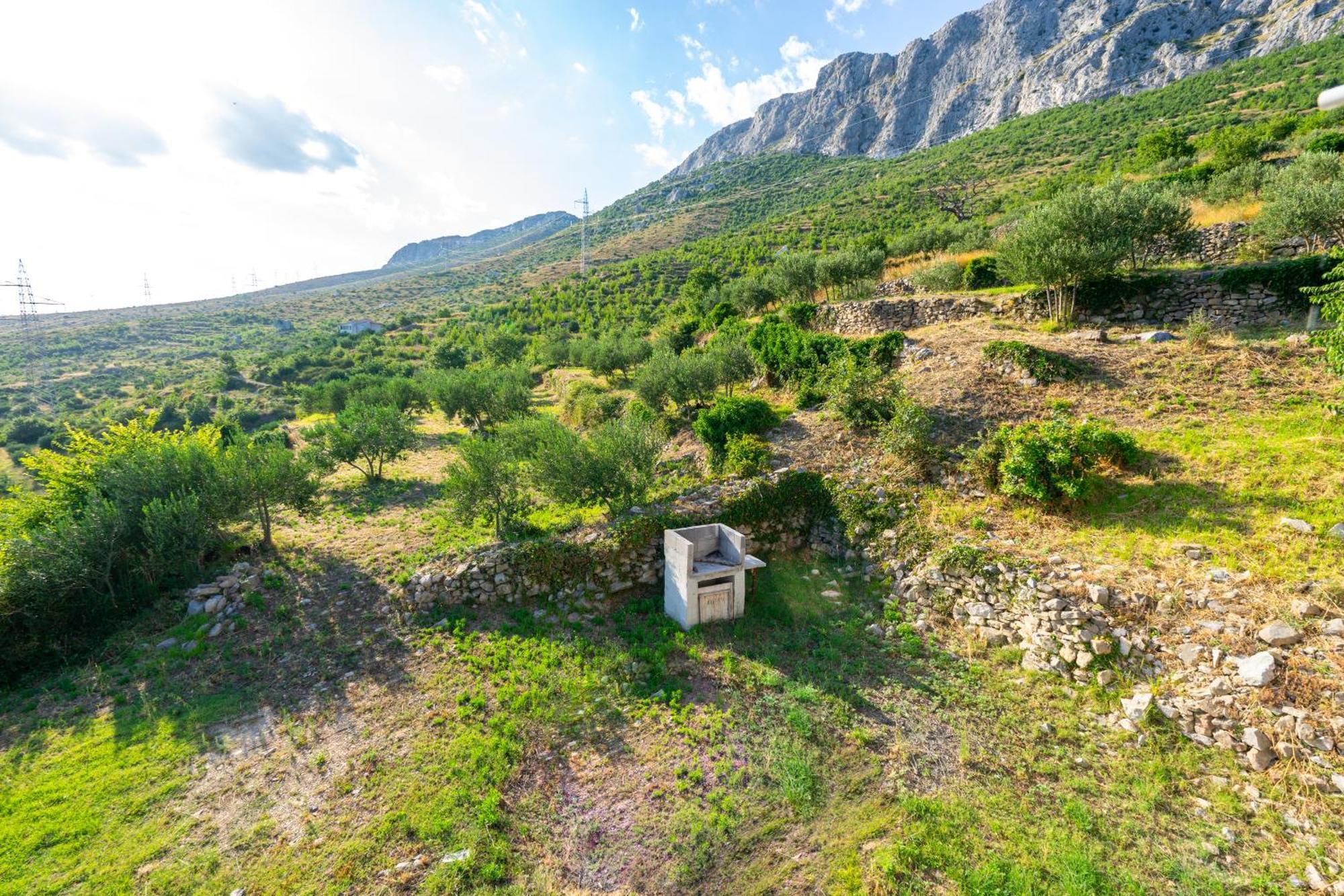 Olive Garden House In Zrnovnica With A View & Bbq Villa Buitenkant foto
